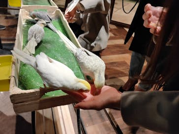 Moff animal world MARK IS みなとみらい店に投稿された画像（2022/1/18）