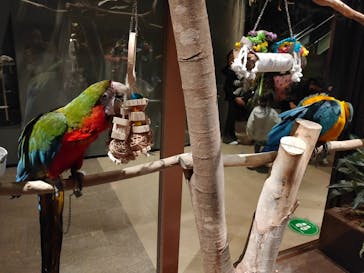 Moff animal world MARK IS みなとみらい店に投稿された画像（2022/1/18）