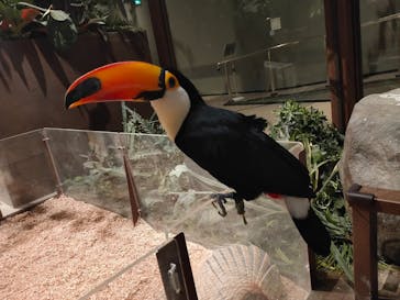 Moff animal world MARK IS みなとみらい店に投稿された画像（2022/1/18）