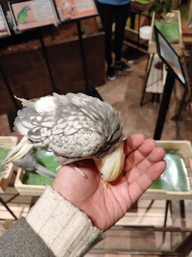 Moff animal world MARK IS みなとみらい店に投稿された画像（2022/1/18）