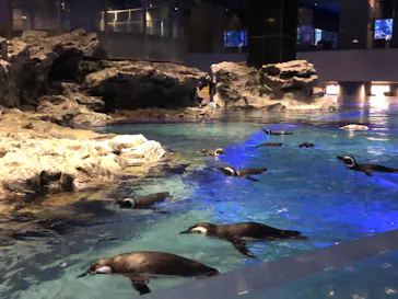 すみだ水族館に投稿された画像（2022/1/18）
