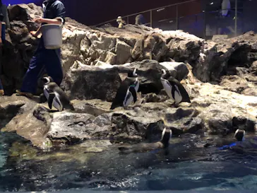 すみだ水族館に投稿された画像（2022/1/18）