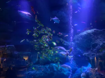 すみだ水族館に投稿された画像（2022/1/18）