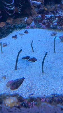 サンシャイン水族館に投稿された画像（2022/1/18）