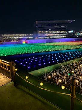 東京メガイルミに投稿された画像（2022/1/18）