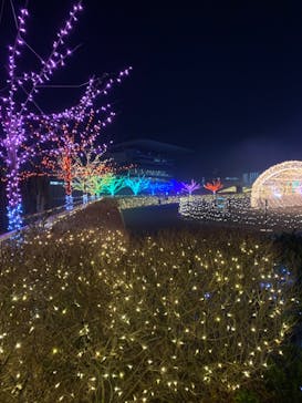 東京メガイルミに投稿された画像（2022/1/18）