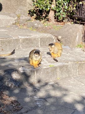 伊豆シャボテン動物公園に投稿された画像（2022/1/18）