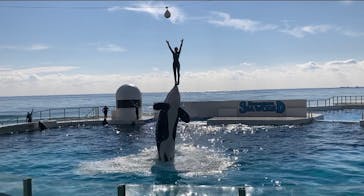 鴨川シーワールドに投稿された画像（2022/1/18）