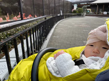 天王寺動物園に投稿された画像（2022/1/18）