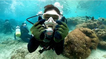 DIVING-SHOP SUNSに投稿された画像（2022/1/18）