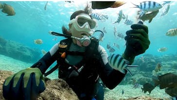 DIVING-SHOP SUNSに投稿された画像（2022/1/18）