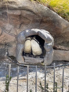 サンシャイン水族館に投稿された画像（2022/1/18）