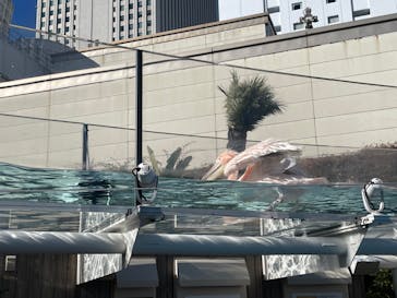 サンシャイン水族館に投稿された画像（2022/1/18）