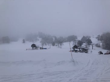 YAMABOKUワイルドスノーパークに投稿された画像（2022/1/18）