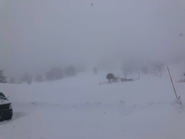 YAMABOKUワイルドスノーパークに投稿された画像（2022/1/18）