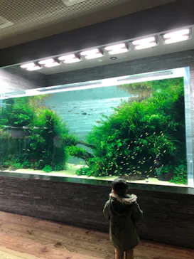 すみだ水族館に投稿された画像（2022/1/19）