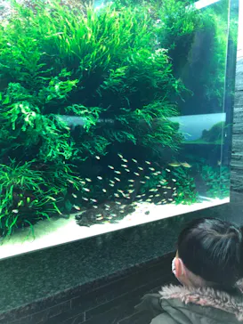 すみだ水族館に投稿された画像（2022/1/19）