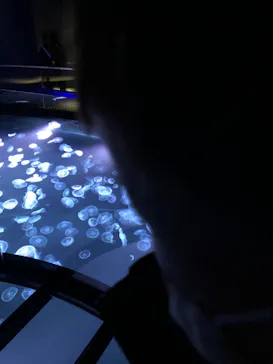 すみだ水族館に投稿された画像（2022/1/19）