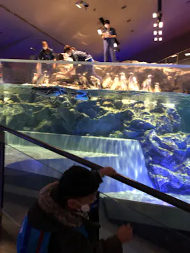 すみだ水族館に投稿された画像（2022/1/19）
