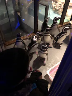 すみだ水族館に投稿された画像（2022/1/19）