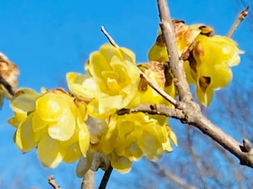 伊豆パノラマパークに投稿された画像（2022/1/19）