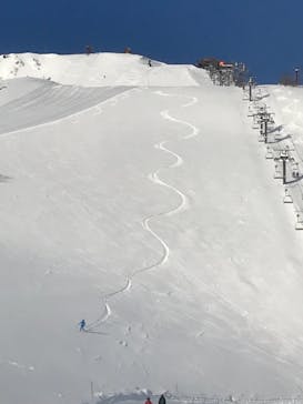 白馬八方尾根スキー場に投稿された画像（2022/1/19）