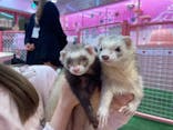 原宿かわいい動物園に投稿された画像（2022/1/19）