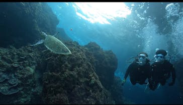 DIVING-SHOP SUNSに投稿された画像（2022/1/19）