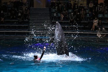 マクセル アクアパーク品川に投稿された画像（2022/1/19）