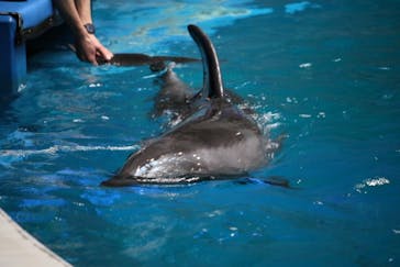 マクセル アクアパーク品川に投稿された画像（2022/1/19）