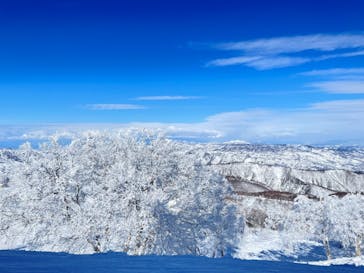 野沢温泉スキー場に投稿された画像（2022/1/19）