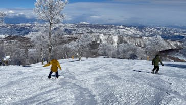 野沢温泉スキー場に投稿された画像（2022/1/19）