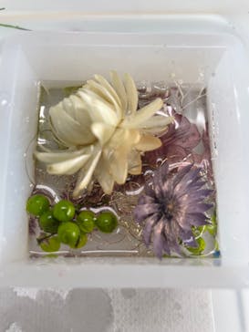 ずこうしつ〜sugamo〜に投稿された画像（2022/1/19）