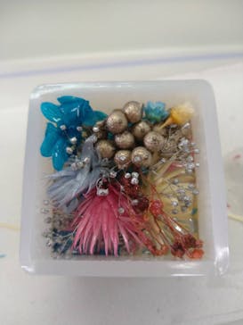 ずこうしつ〜sugamo〜に投稿された画像（2022/1/19）