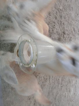 伊豆シャボテン動物公園に投稿された画像（2022/1/19）