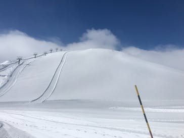 白馬八方尾根スキー場に投稿された画像（2022/1/19）