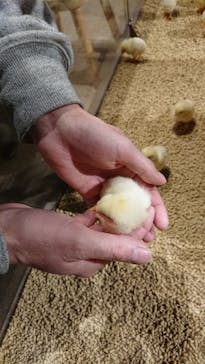 Moff animal world MARK IS みなとみらい店に投稿された画像（2022/1/19）