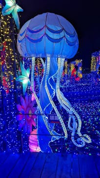 伊豆ぐらんぱる公園に投稿された画像（2022/1/19）