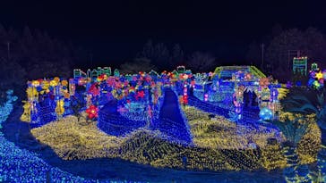 伊豆ぐらんぱる公園に投稿された画像（2022/1/19）