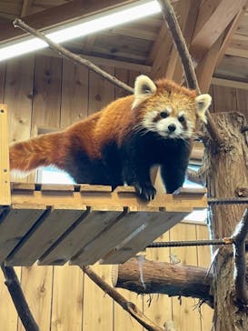 伊豆シャボテン動物公園に投稿された画像（2022/1/19）