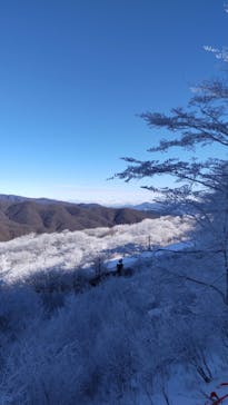 軽井沢プリンスホテルスキー場に投稿された画像（2022/1/19）