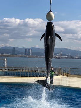 マリンワールド海の中道に投稿された画像（2022/1/19）