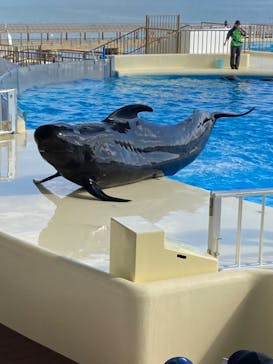 マリンワールド海の中道に投稿された画像（2022/1/19）