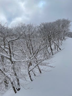 びわ湖バレイに投稿された画像（2022/1/19）
