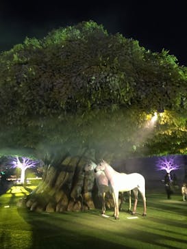 東京メガイルミに投稿された画像（2022/1/19）