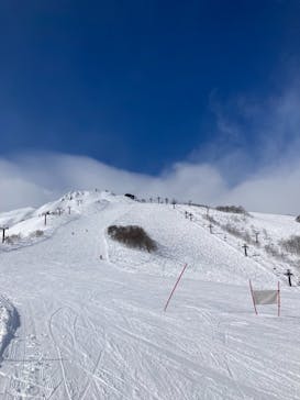 白馬八方尾根スキー場に投稿された画像（2022/1/19）