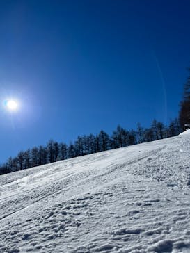 やぶはら高原スキー場に投稿された画像（2022/1/19）