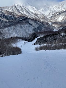 白馬岩岳スノーフィールドに投稿された画像（2022/1/20）