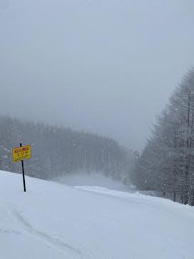 やぶはら高原スキー場に投稿された画像（2022/1/20）