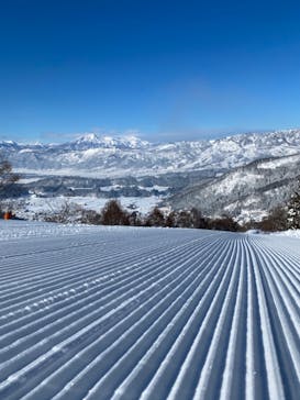 野沢温泉スキー場に投稿された画像（2022/1/20）